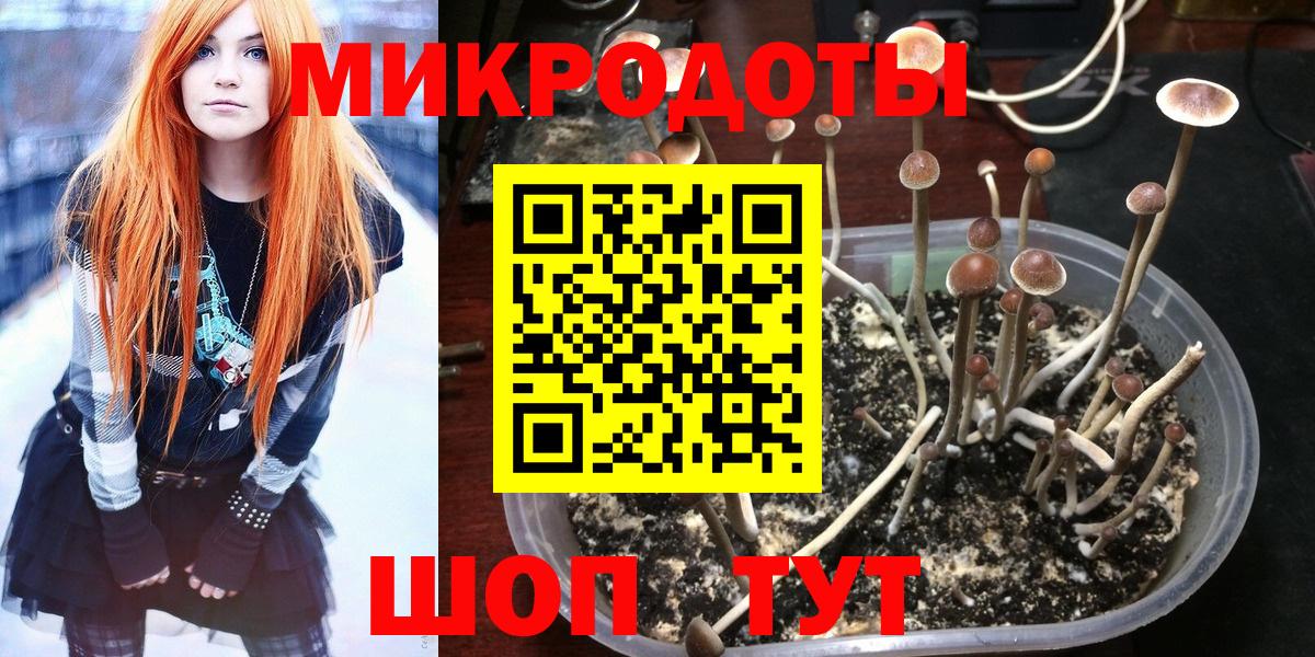 Кимры  Псилоцибиновые грибы GOLDEN TEACHER  Вход с VPN  Галлюциногенные грибы MAGIC MUSHROOMS 