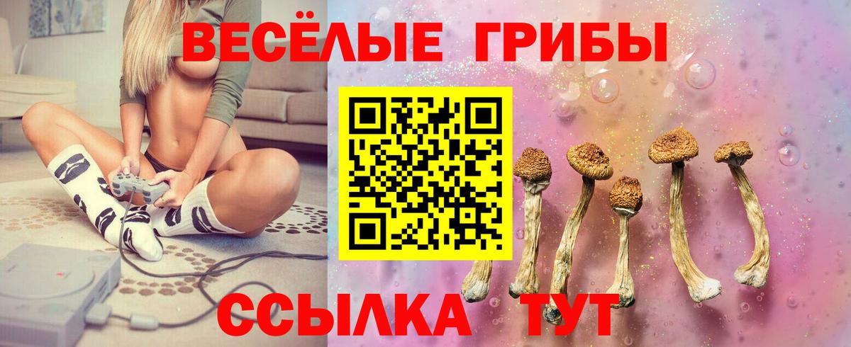 Псилоцибиновые грибы Psilocybine cubensis Кимры